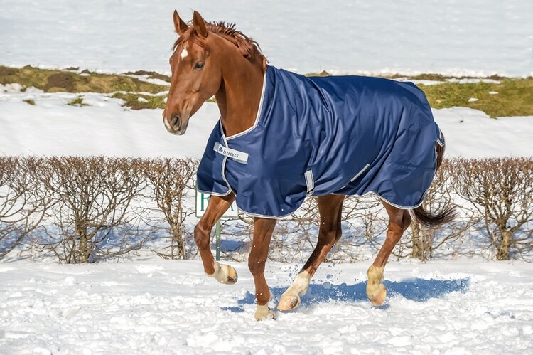 Bucas Freedom Turnout Light Highneck
