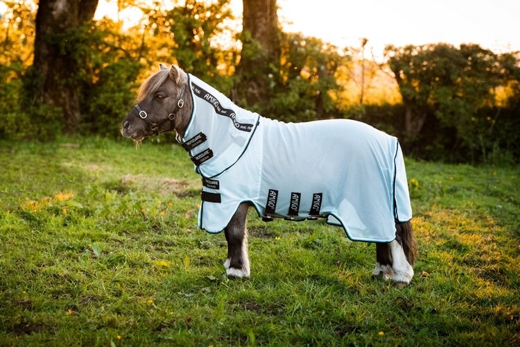 Horseware Amigo Petite Bug Rug