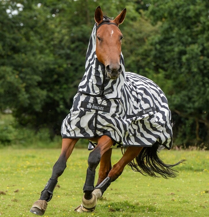 Bucas Sweet-itch Zebra deken
