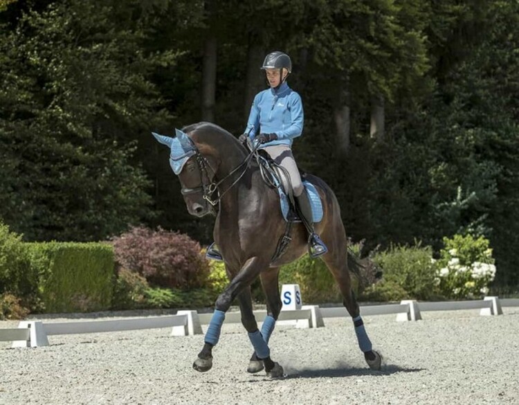 LeMieux Classic Oornetje