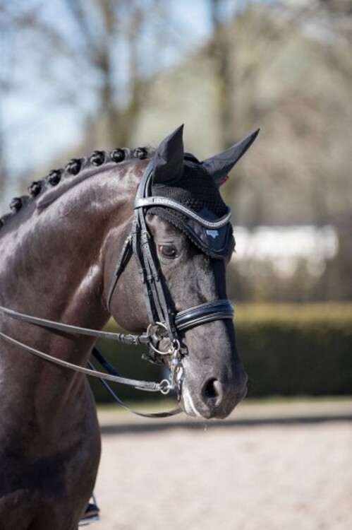 LeMieux Loire Oornetje