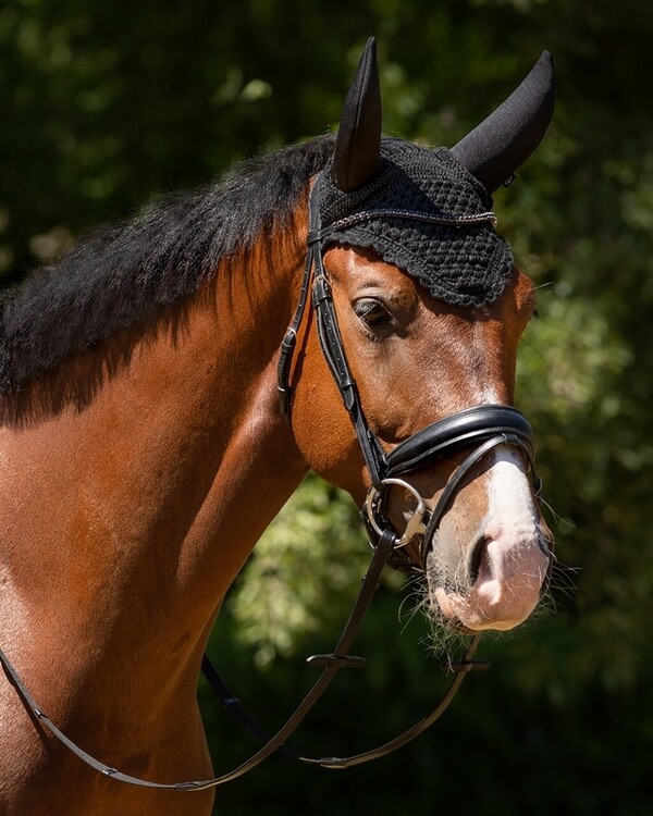 QHP Oornetje Flore soundless