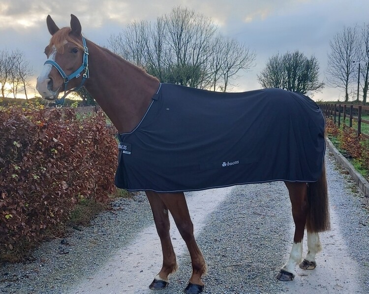 Bucas Power Cooler met afneembare Hals