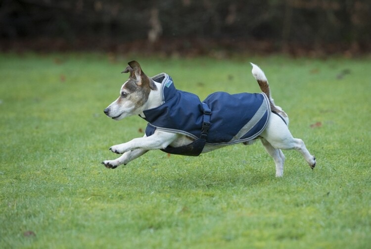 Bucas Freedom Dog Rug 50gram