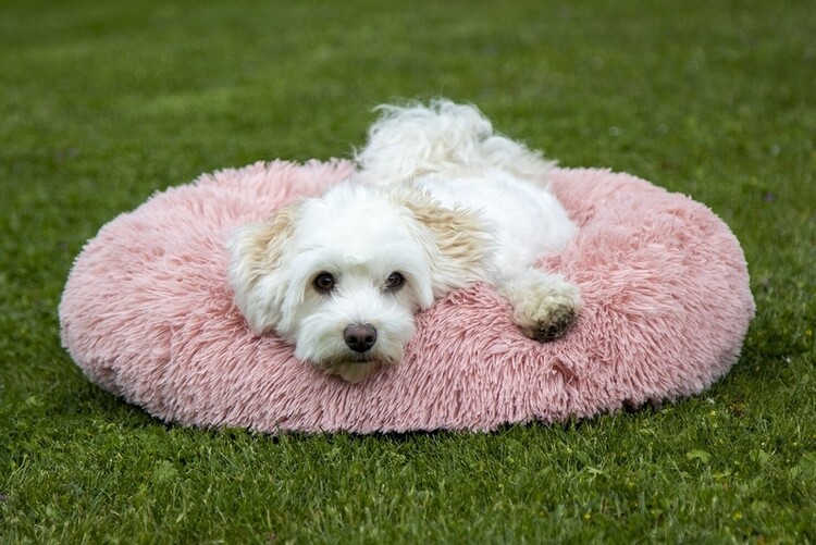 HKM Hondenmand Fluffy