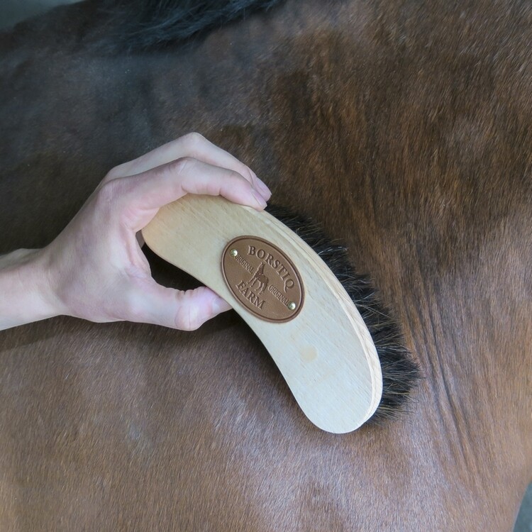Borstiq Banana Borstel Paardenhaar