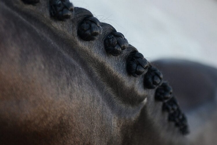 NAF Braid it Up Mousse 500ml