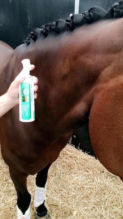 NAF Shine on coat spray