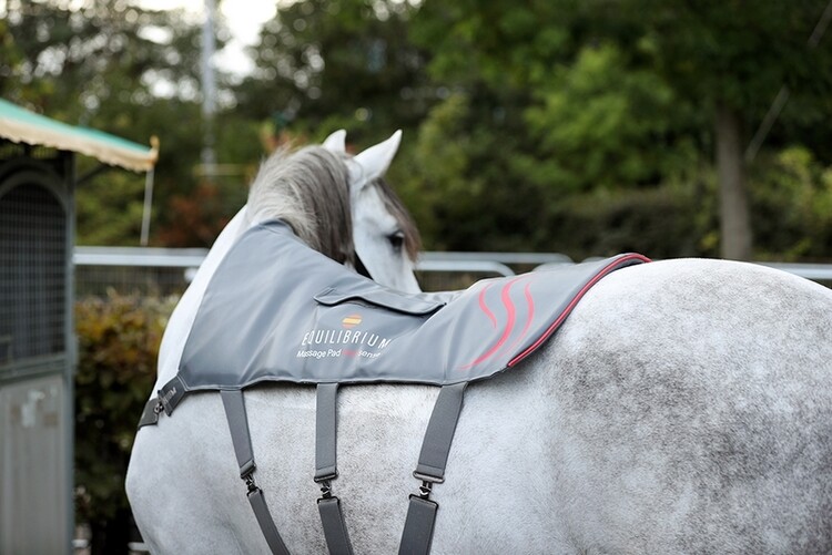 Equilibrium Heatsense Massage Pad