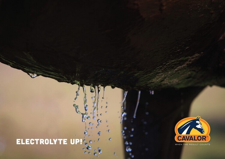 Cavalor Electrolyte Balance 800grs
