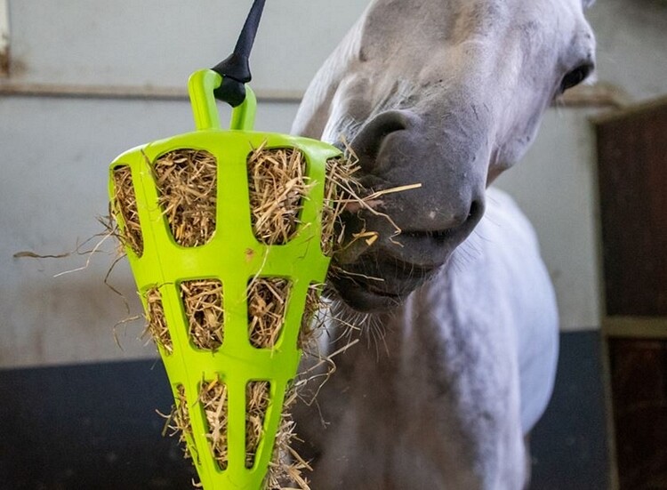 Excellent Hay Slowfeeder Fun & Flex Wortel