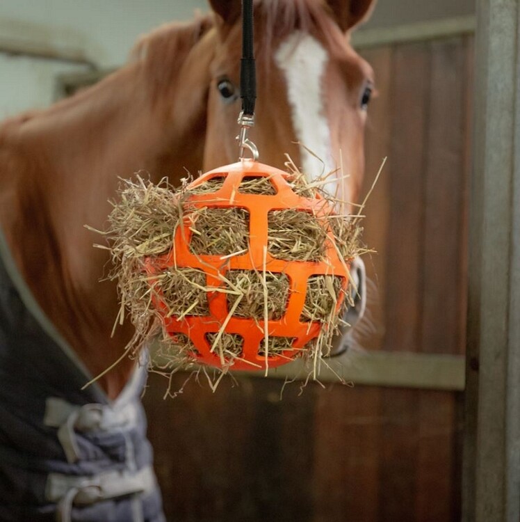 Hay Slowfeeder Fun and Flex 22cm