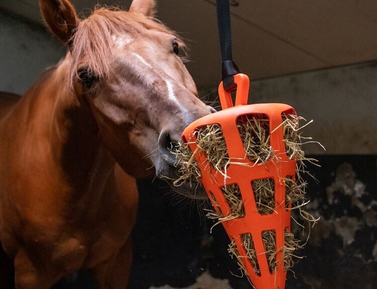 Excellent Hay Slowfeeder Fun & Flex Wortel