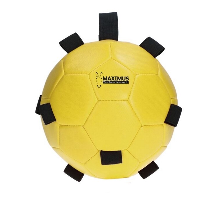 Maximus Fun Play Ball