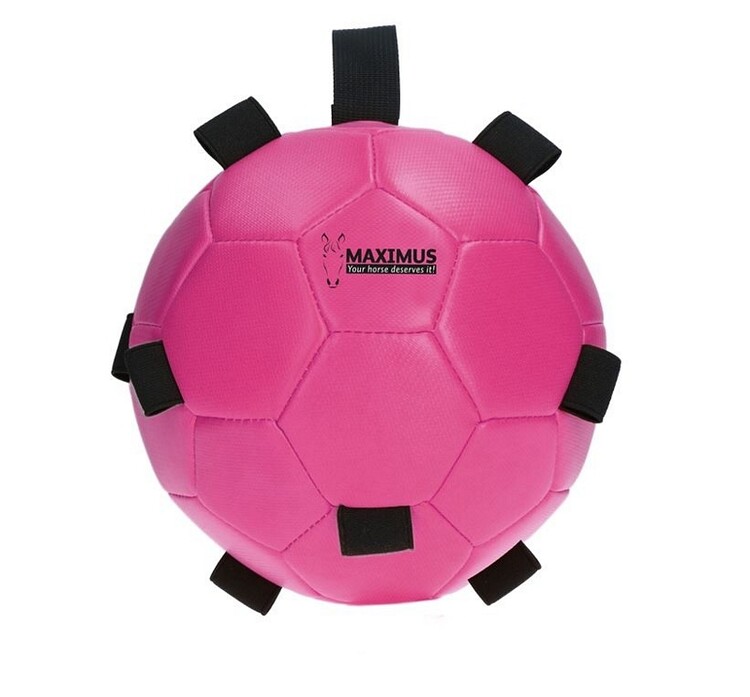 Maximus Fun Play Ball