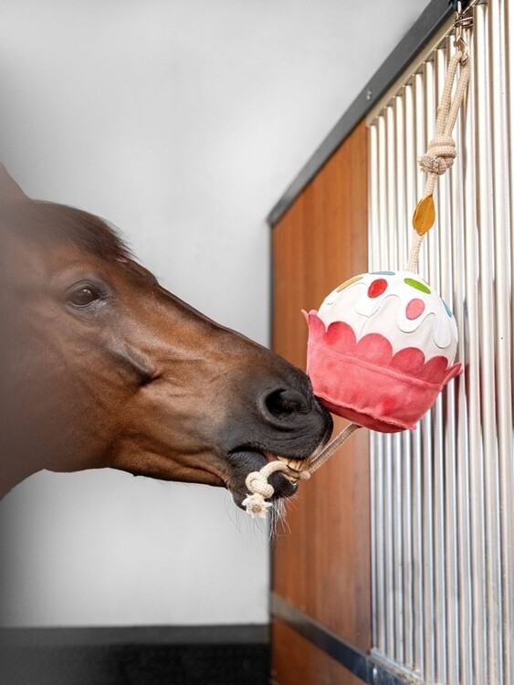 LeMieux Paardenspeelgoed Cupcake
