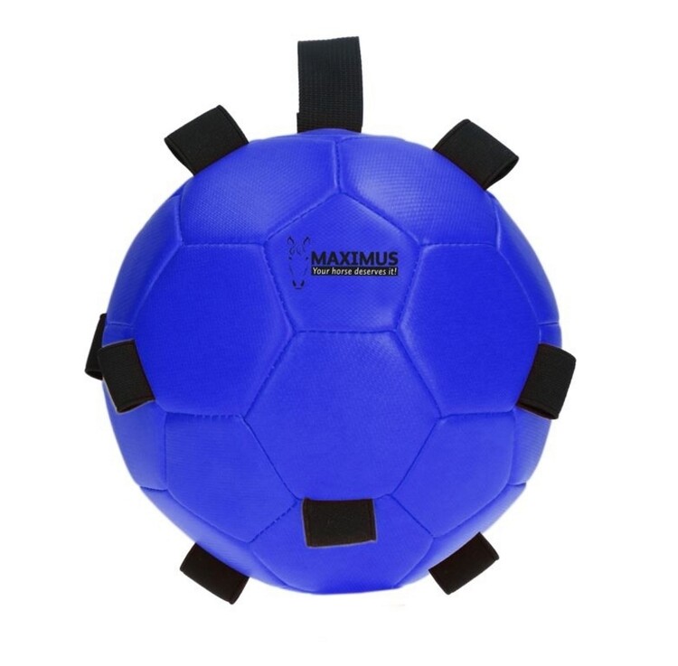Maximus Fun Play Ball