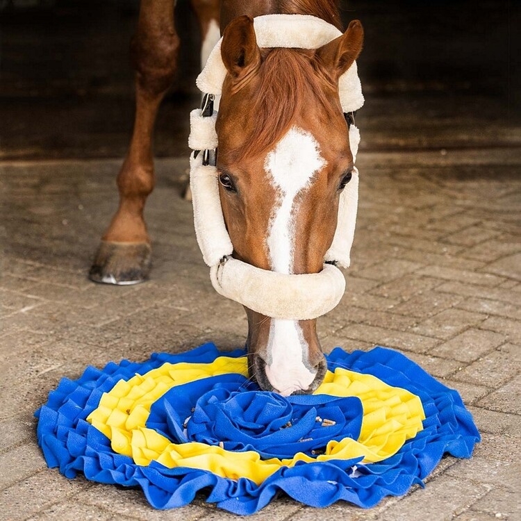 QHP Snuffel mat voor paarden