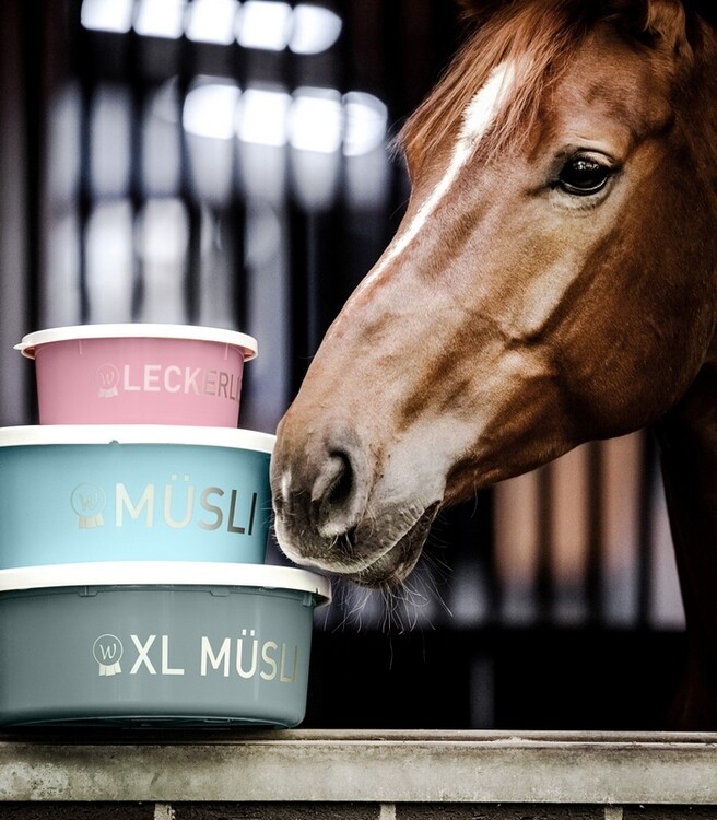 Waldhausen Muesli- en of snoepjesschaal 2L met deksel
