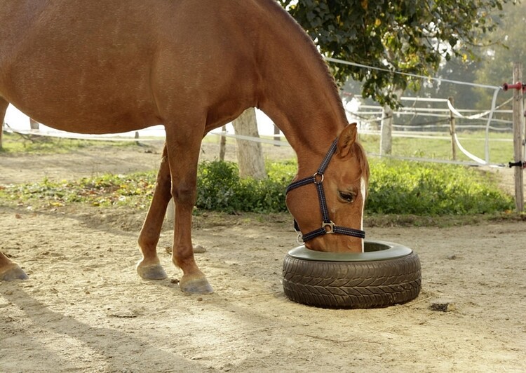 Kerbl Tyre Voerbak