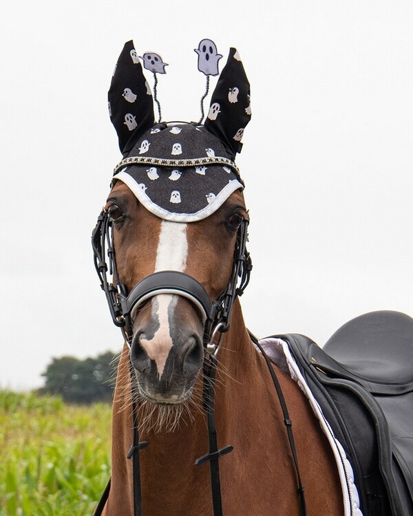QHP Kopstuk accessoire Halloween