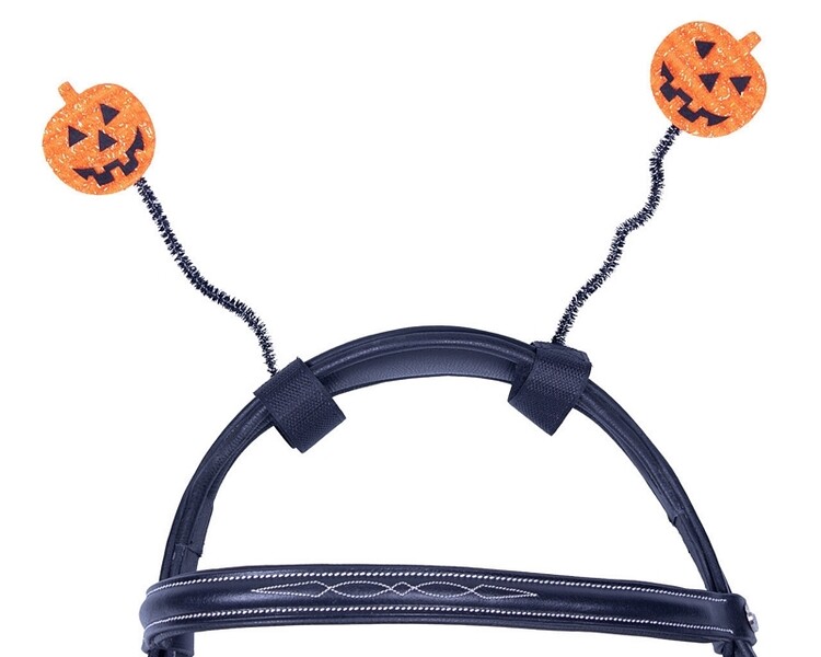 QHP Kopstuk accessoire Halloween