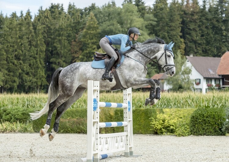 LeMieux Base Layer