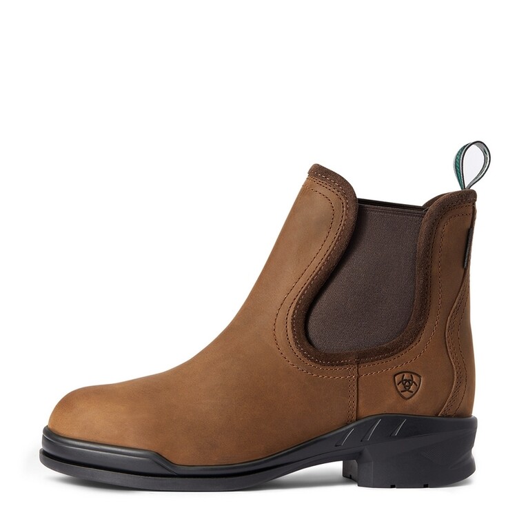 Ariat Keswick Steel Toe Paddock schoen