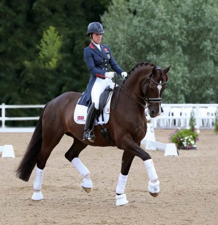 LeMieux Zadeldek Luxery Suede Dressage Square