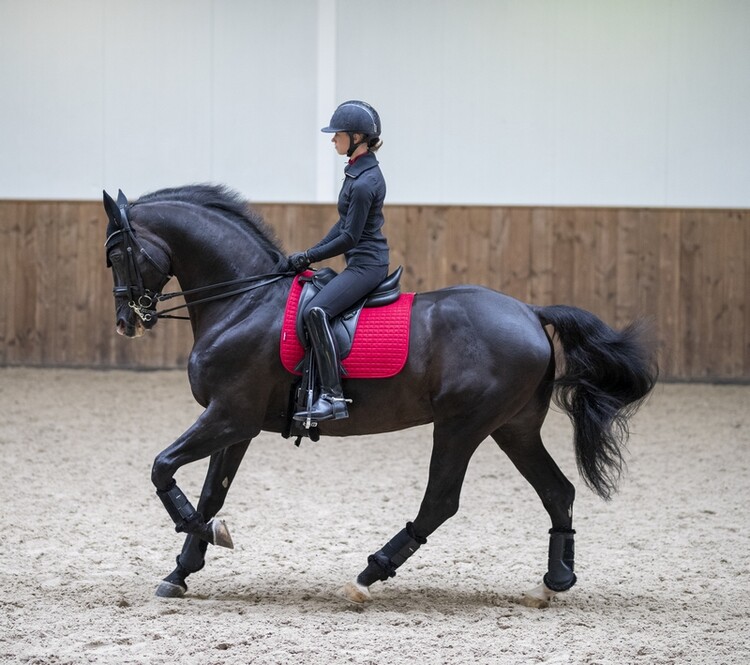 LeMieux Zadeldek Luxery Suede Dressage Square