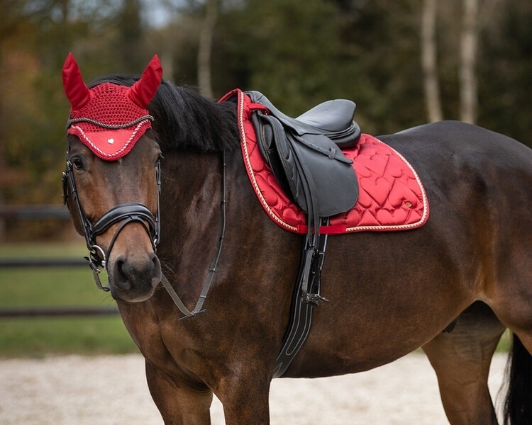 QHP Zadeldek Valentine