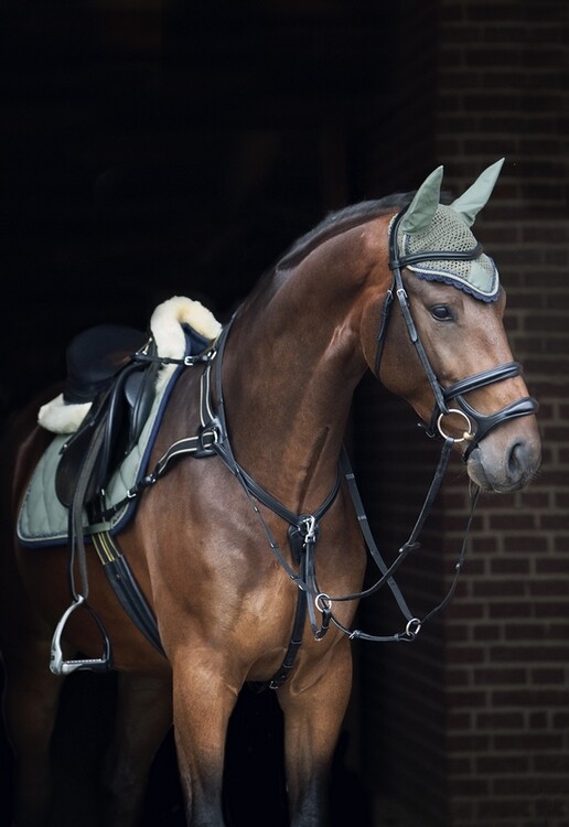 BR zadeldek Event Cooldry veelzijdigheid