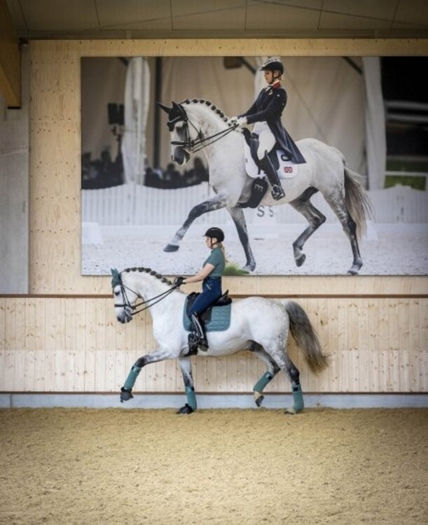 LeMieux Zadeldek Carbon Mesh Dressage