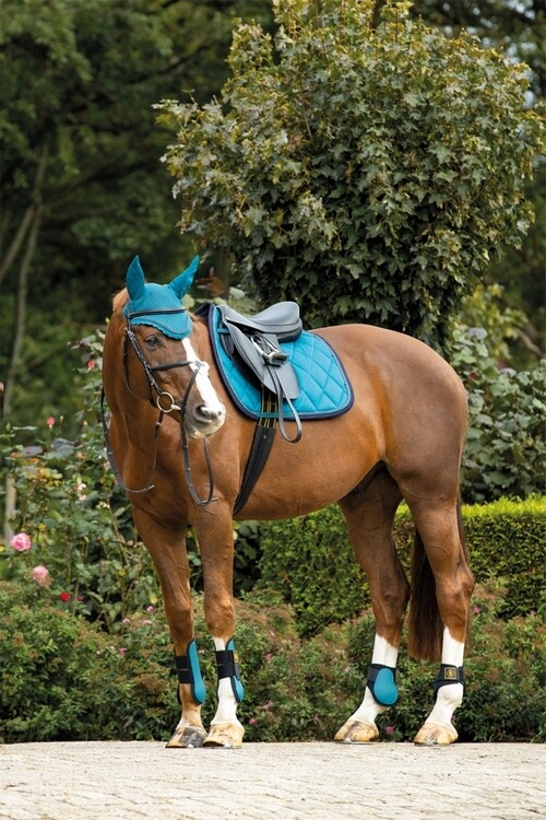 BR Zadeldek Event Cooldry Dressuur