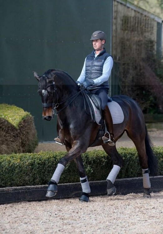 LeMieux Zadeldek Luxery Suede Dressage Square
