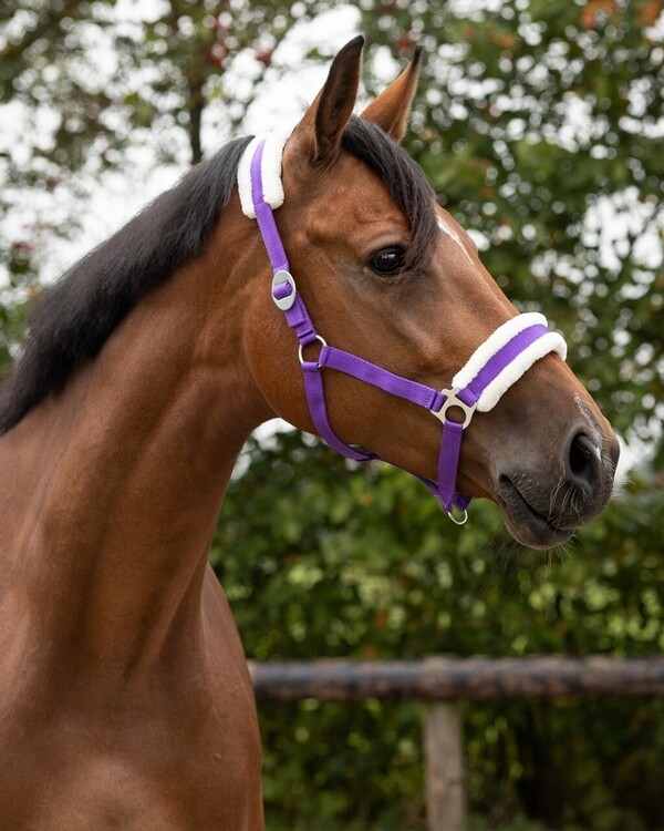 QHP Halster Cali