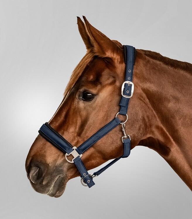 Waldhausen Halster Breath