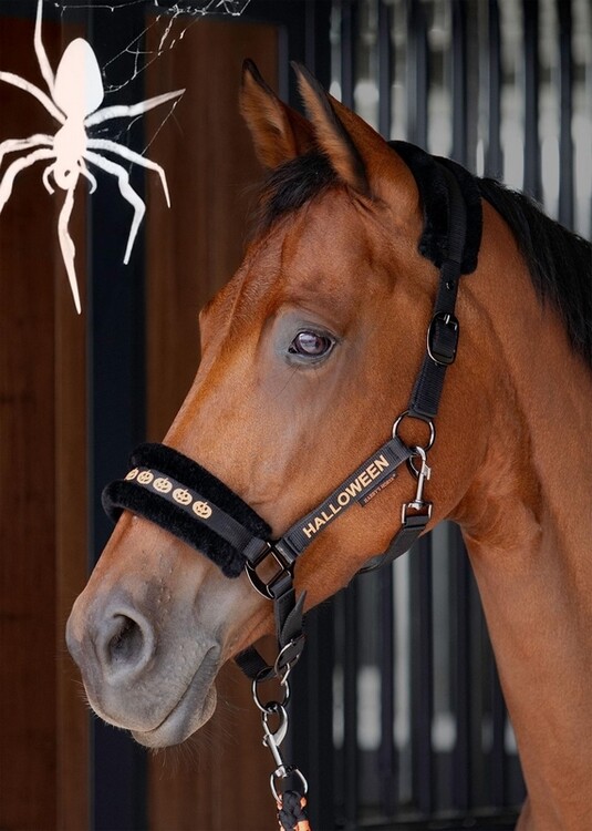 Harry's Horse Halsterset Halloween
