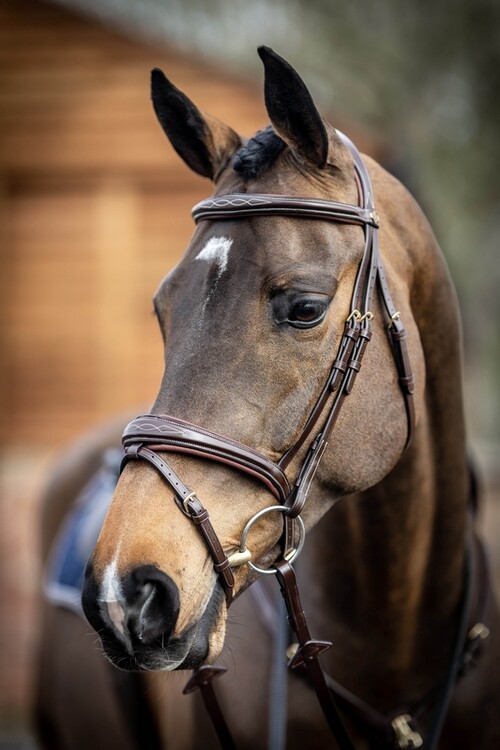 LeMieux Competition Hoofdstel