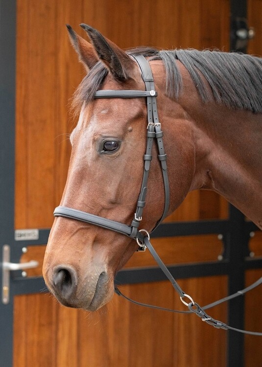 Harry's Horse Hoofdstel Bitloos Kaakgekruist Easy Care