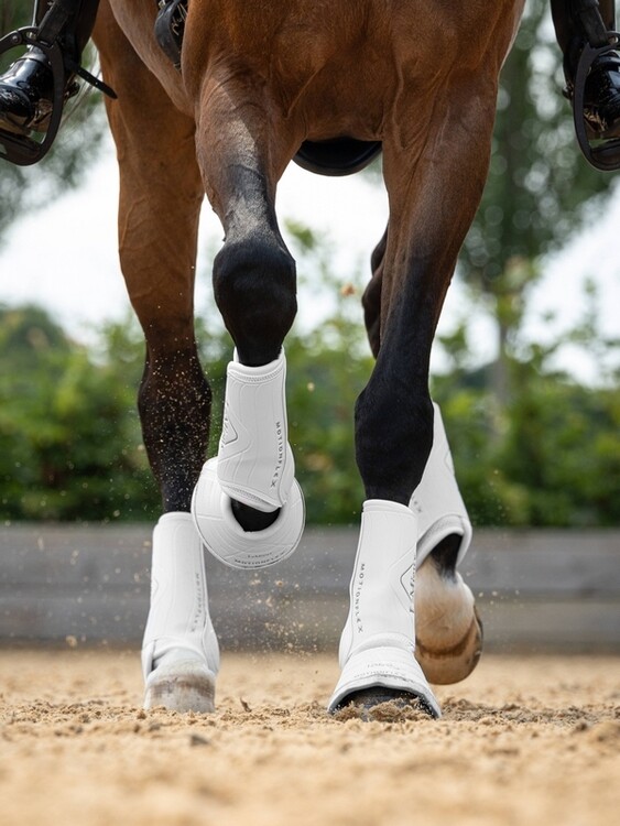 LeMieux Dressuur Peesbeschermer Motionflex