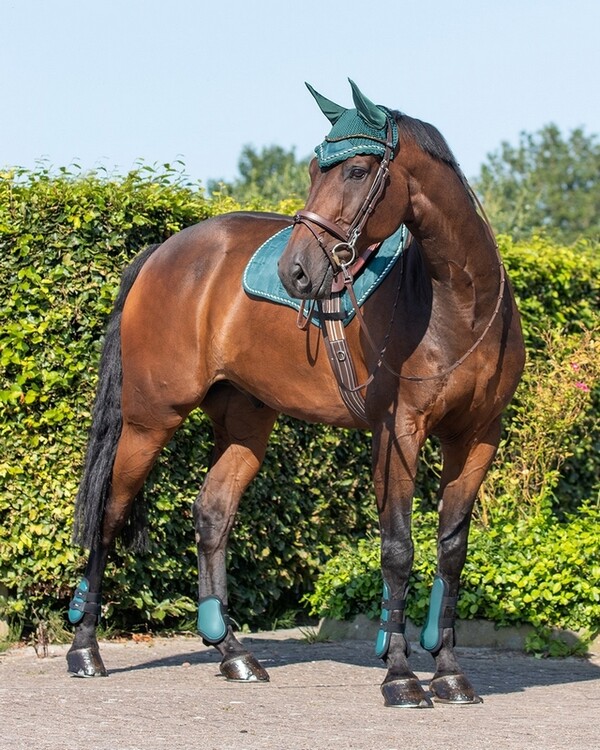 QHP Peesbeschermers Set