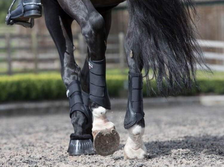 LeMieux Grafter Brushing Beenbeschermer
