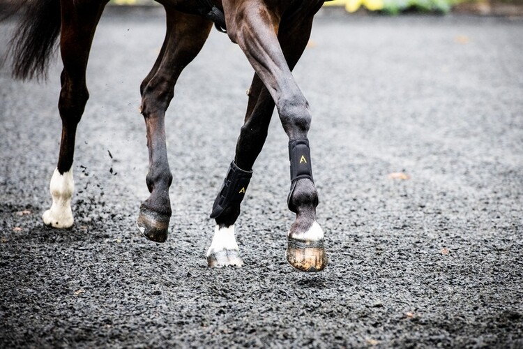 Horseware Adagio Beenbeschermers