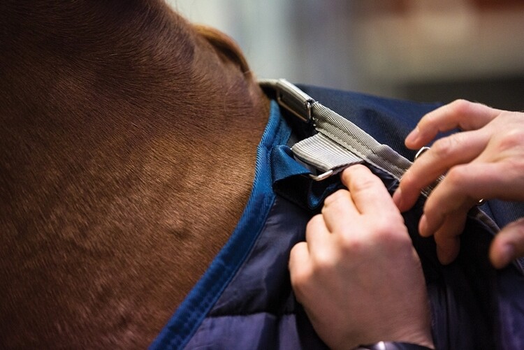 Horseware Liner 300grs