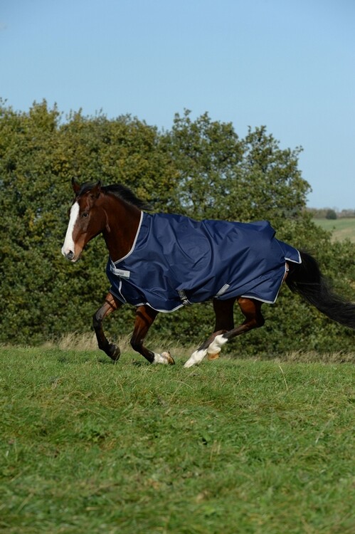 Bucas Freedom Turnout Light Highneck