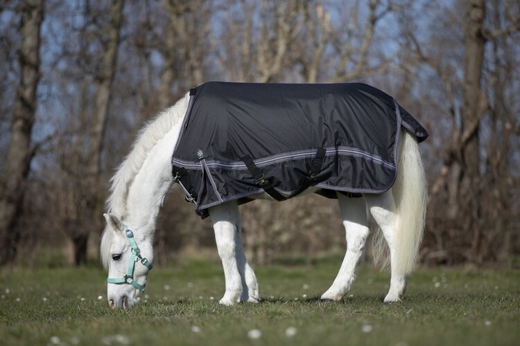 DKR Sports Mini Regendeken Luxe met fleece