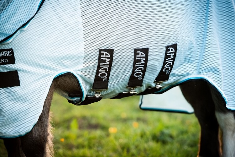 Horseware Amigo Petite Bug Rug
