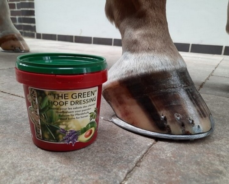 Kevin Bacon's The Green Hoefdressing 500ml