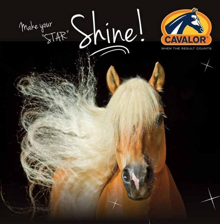 Cavalor Star shine 500ml